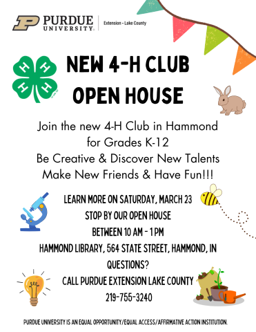 4H Flyer