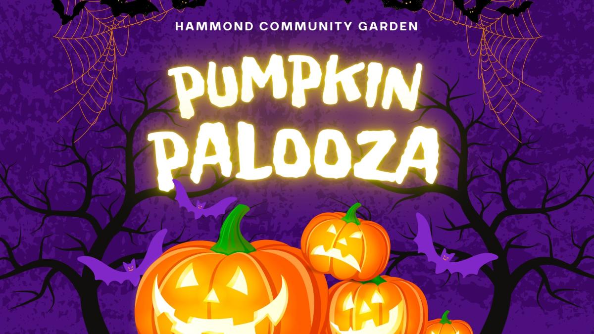 dark purple background with three glowing jack-o-lanterns. text reads: Hammond Community Garden Pumpkin Palooza